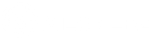 Mesmerz | Agency Transisi Brand ke DTC